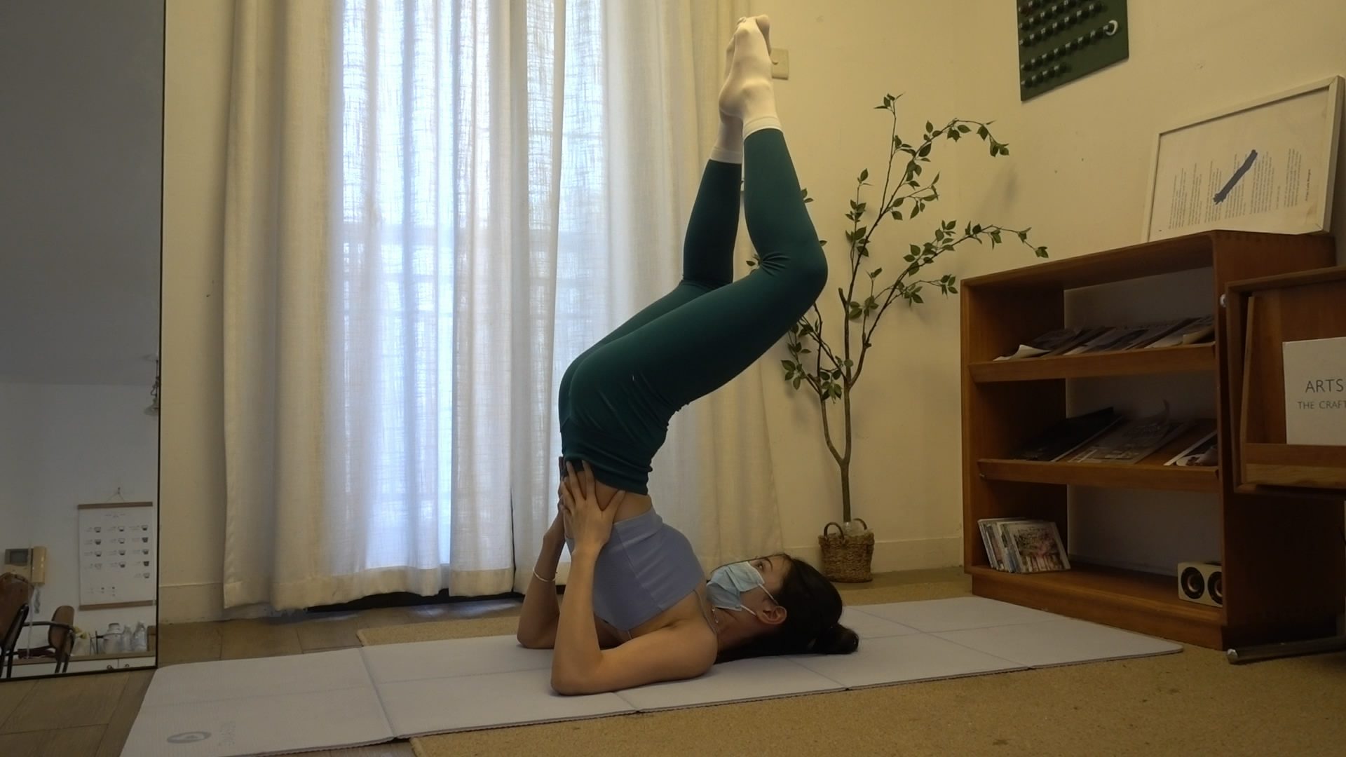 第288课 #柔术 #倒立